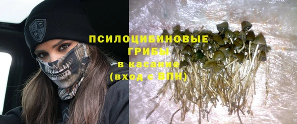 прущие крисы Алзамай