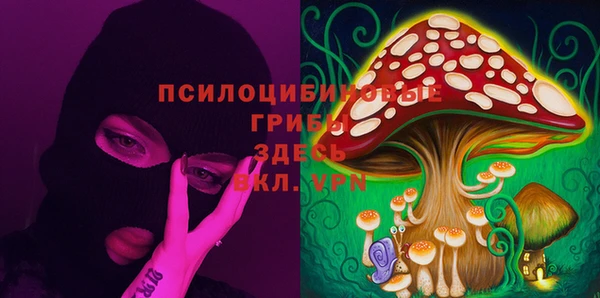 прущие крисы Алзамай